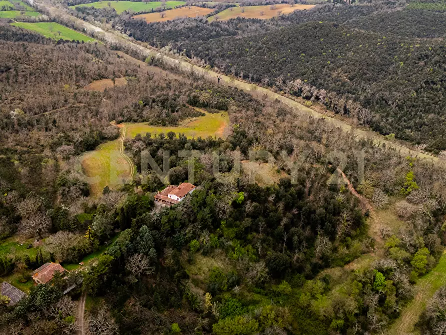 Immagine 2 di Rustico / casale in vendita  in sasso d'ombrone a Cinigiano