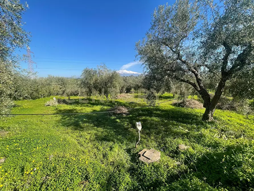 Immagine 48 di Terreno agricolo in vendita  in contrada agnelleria a Belpasso