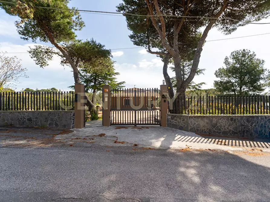 Immagine 3 di Casa indipendente in affitto  in Via Palermo 82 a Nicolosi
