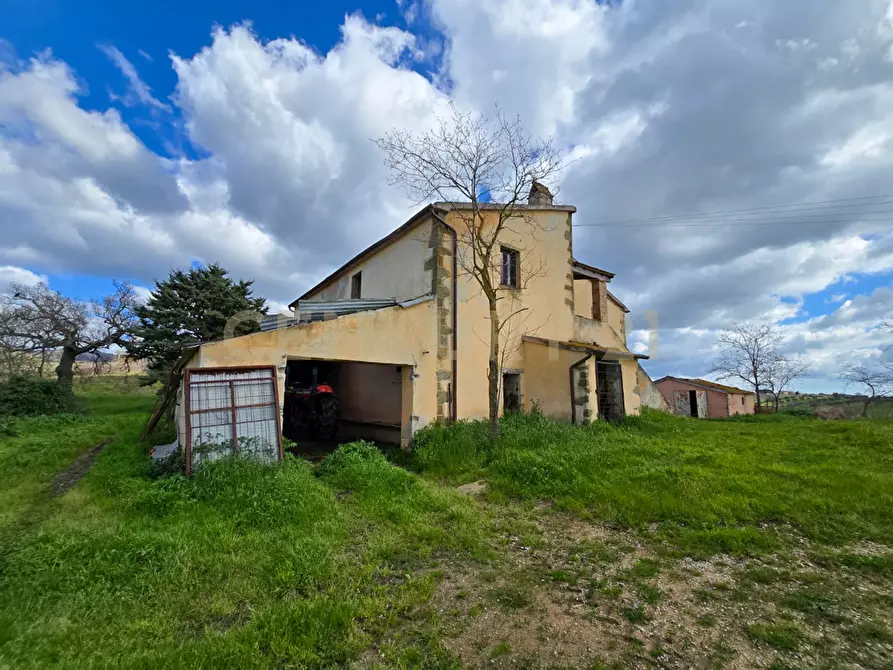 Immagine 21 di Rustico / casale in vendita  in località mandorlaie a Scansano