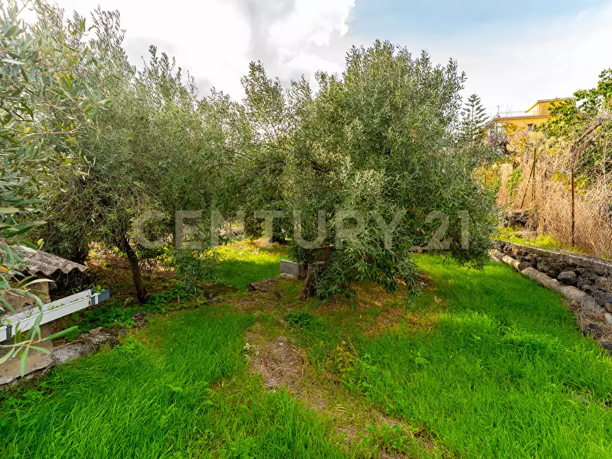 Immagine 39 di Terreno agricolo in vendita  in Via Cerza 35 a San Gregorio Di Catania