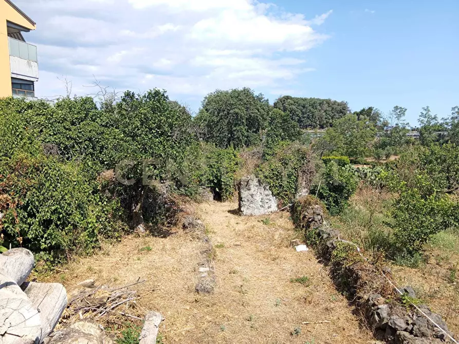 Immagine 33 di Rustico / casale in vendita  in Via Maugeri 12 a Valverde