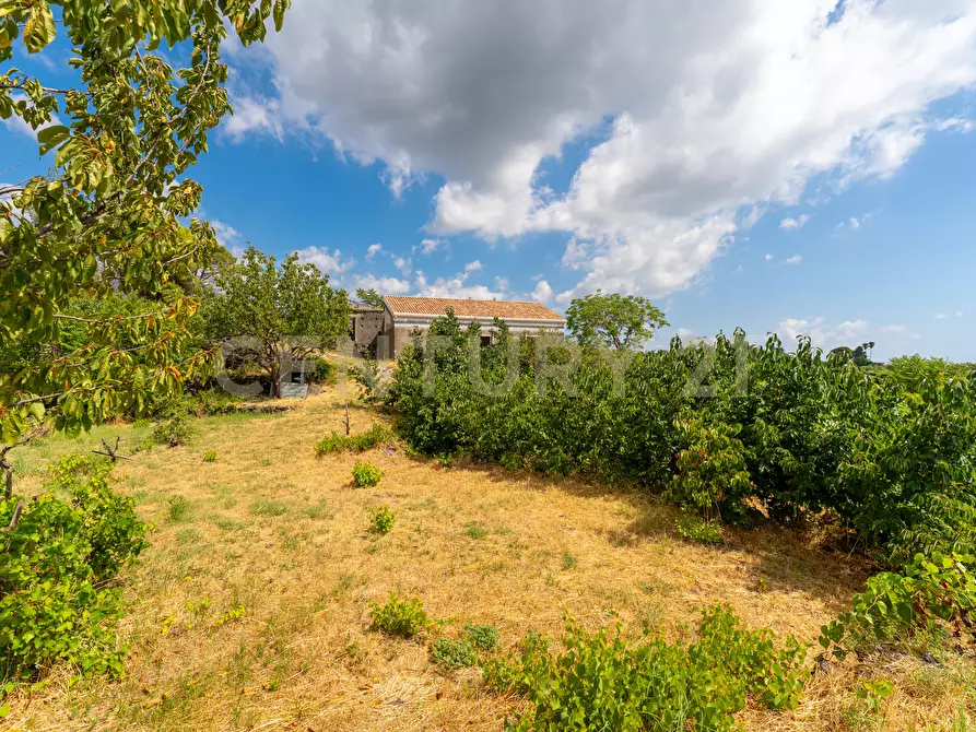 Immagine 31 di Villa in vendita  in Via Grazia Deledda 28 a Santa Venerina