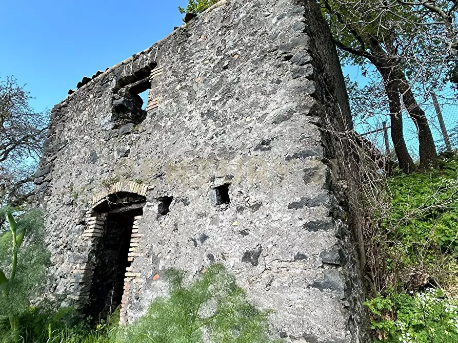 Immagine 6 di Terreno agricolo in vendita  in CONTRADA VIGNE a Biancavilla