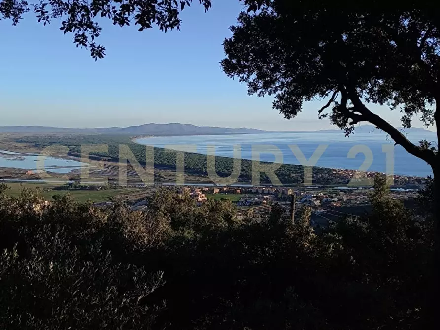 Immagine 28 di Villa in vendita  in via degli olivi 15 a Castiglione Della Pescaia