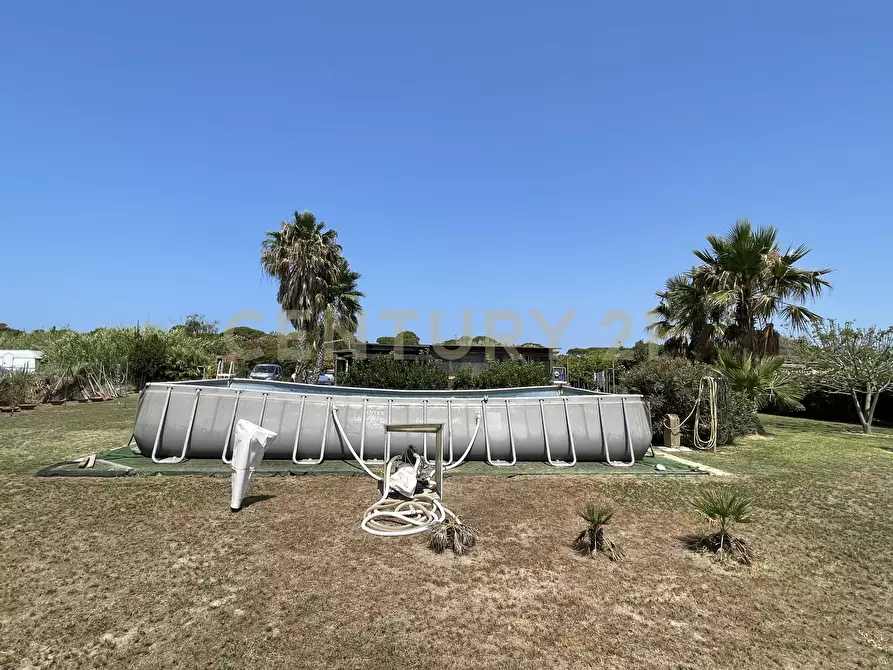 Immagine 2 di Terreno agricolo in vendita  in Strada Provinciale della Giannella a Orbetello