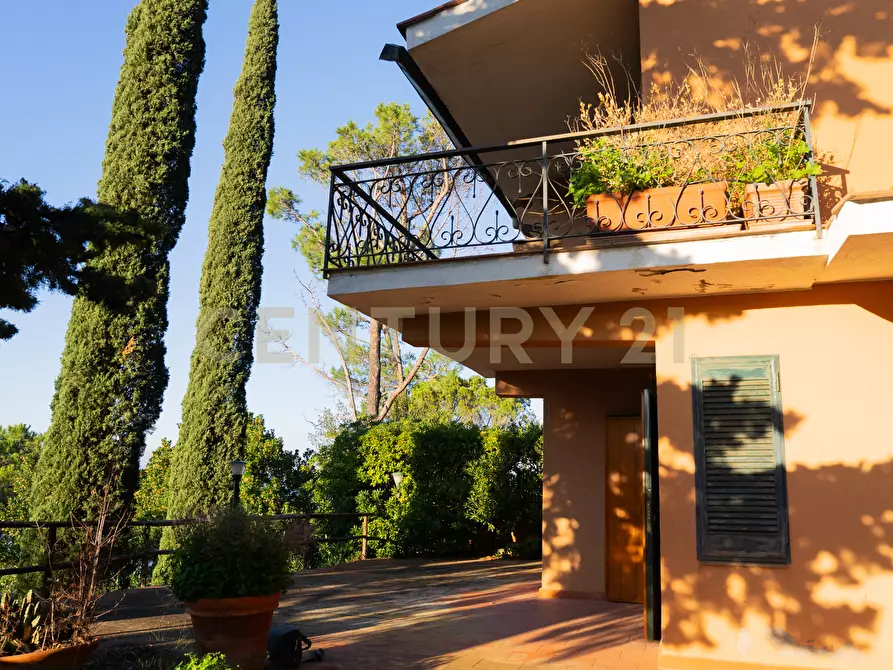 Immagine 3 di Porzione di casa in vendita  in Via Costa degli Ulivi a Monte Argentario