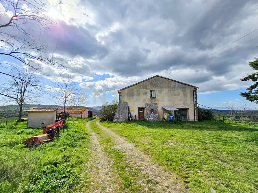 Immagine 25 di Rustico / casale in vendita  in località mandorlaie a Scansano