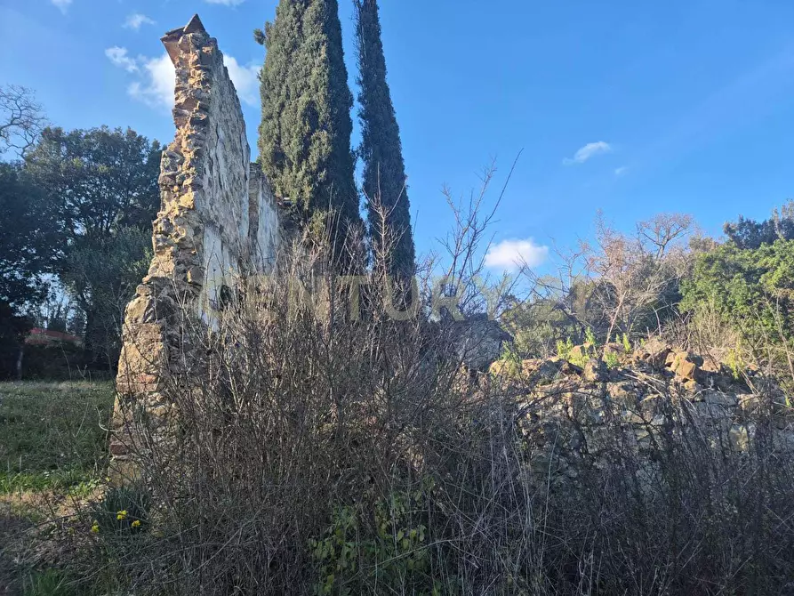 Immagine 5 di Rustico / casale in vendita  in loclaità fontepalma snc a Civitella Paganico