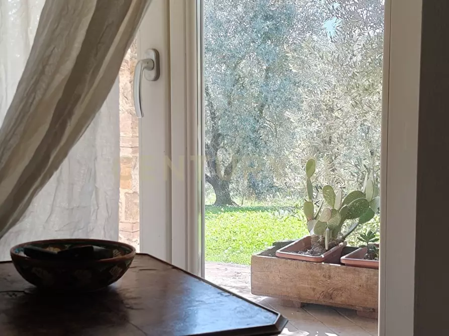 Immagine 19 di Rustico / casale in vendita  in località spinicci snc a Manciano