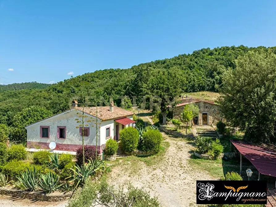 Immagine 61 di Rustico / casale in vendita  in agriturismo lampugnano 47 a Civitella Paganico