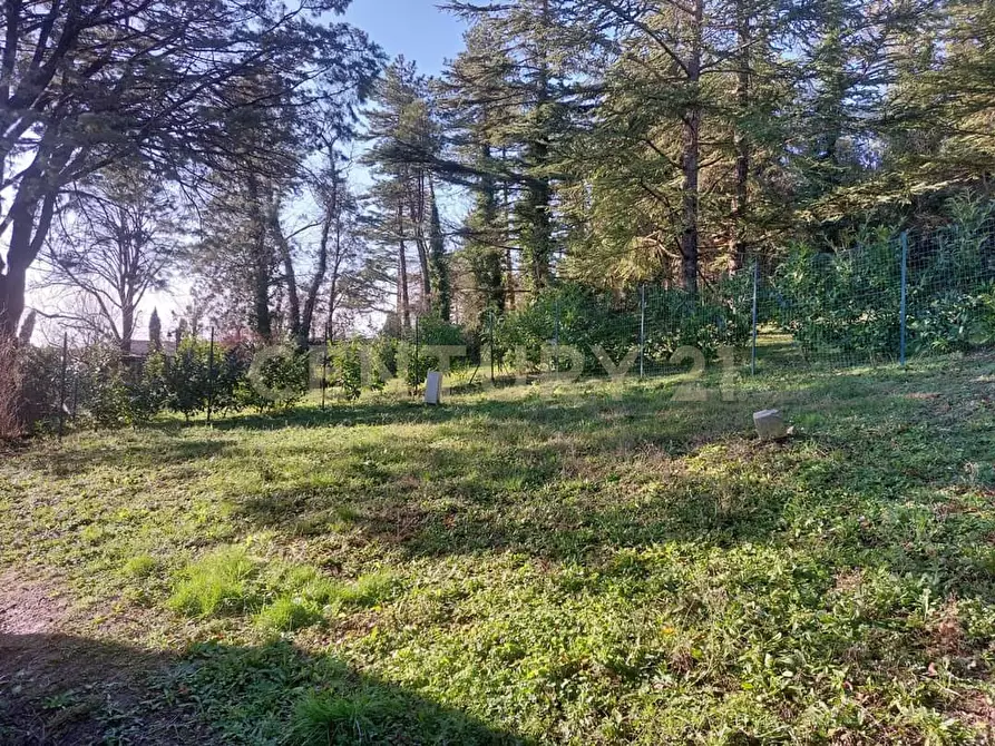 Immagine 10 di Loft/Open space in vendita  in via fonte antese snc a Radicofani