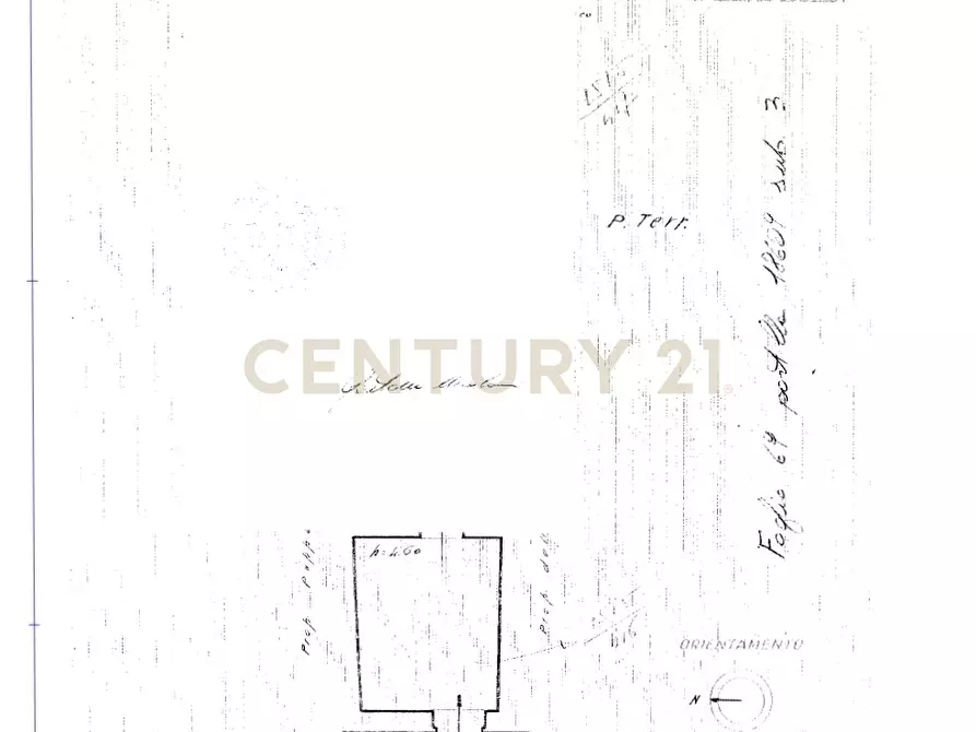 Immagine 13 di Attività commerciale in vendita  in Via Vincenzo Giuffrida 14 a Catania