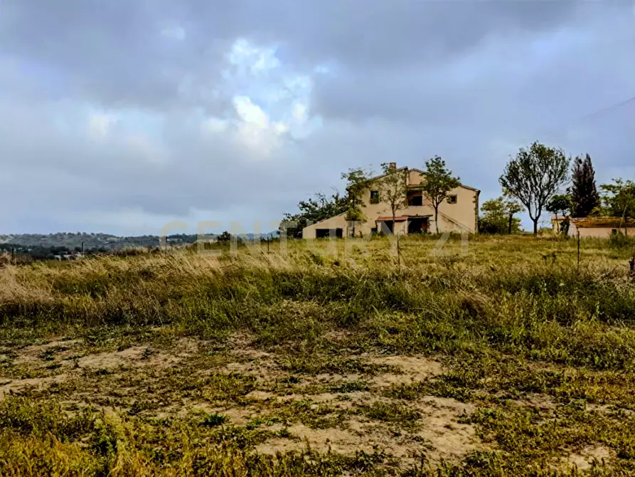 Immagine 16 di Rustico / casale in vendita  in località mandorlaie a Scansano
