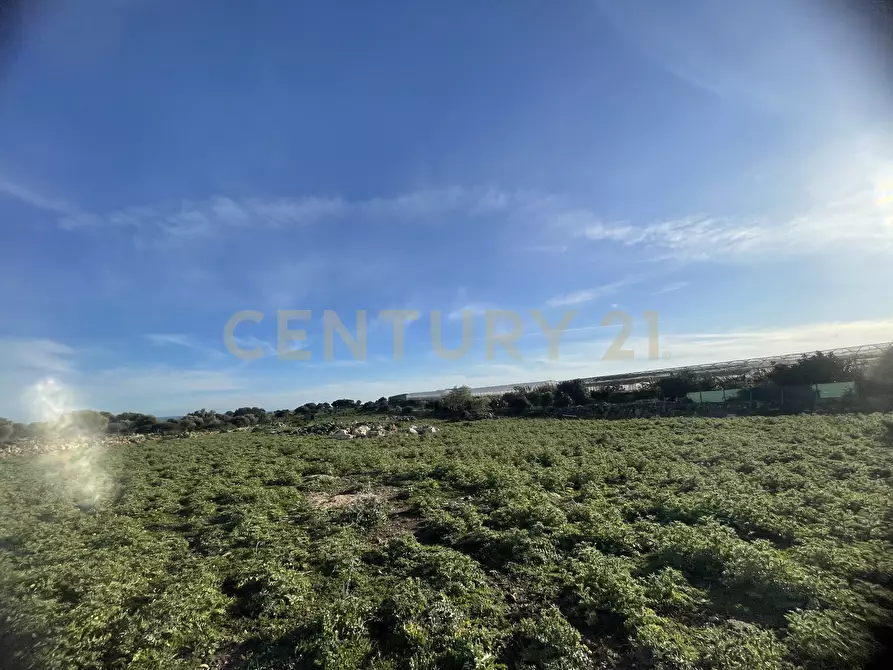 Immagine 23 di Terreno agricolo in vendita  in CONTRADA CORRIDORE CAMPANA SNC a Portopalo Di Capo Passero