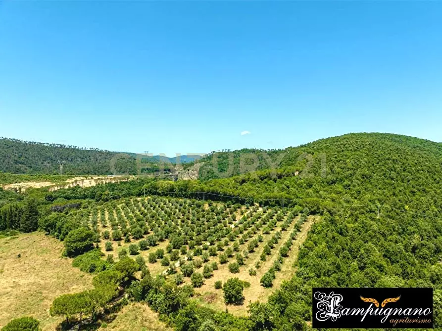 Immagine 46 di Rustico / casale in vendita  in agriturismo lampugnano 47 a Civitella Paganico