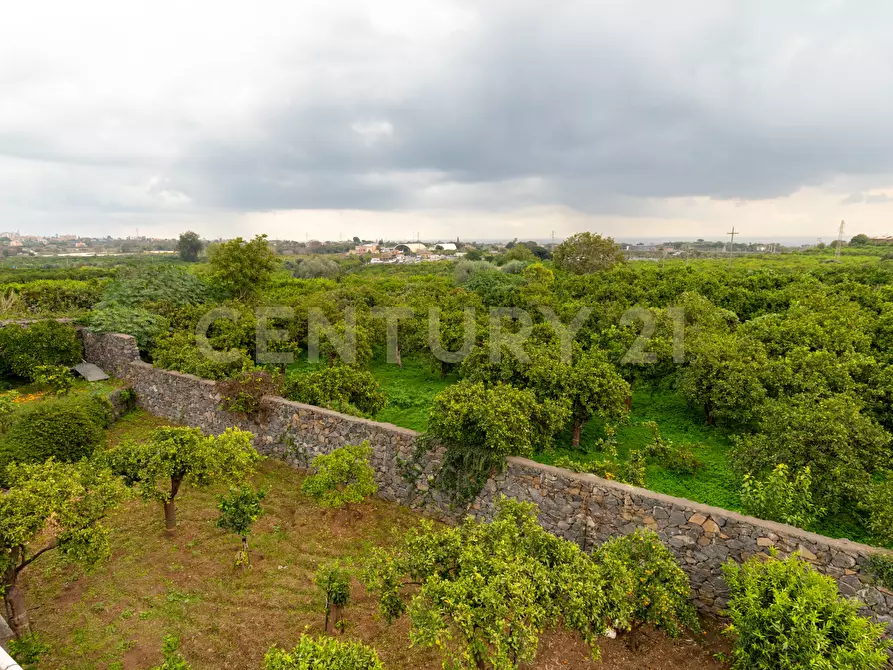 Immagine 86 di Villa in vendita  in Via Brinzio 20 a Aci Catena