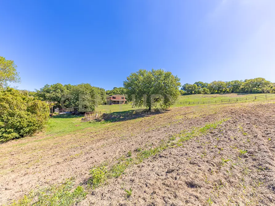 Immagine 29 di Rustico / casale in vendita  in località san quirichello a Barbarano Romano