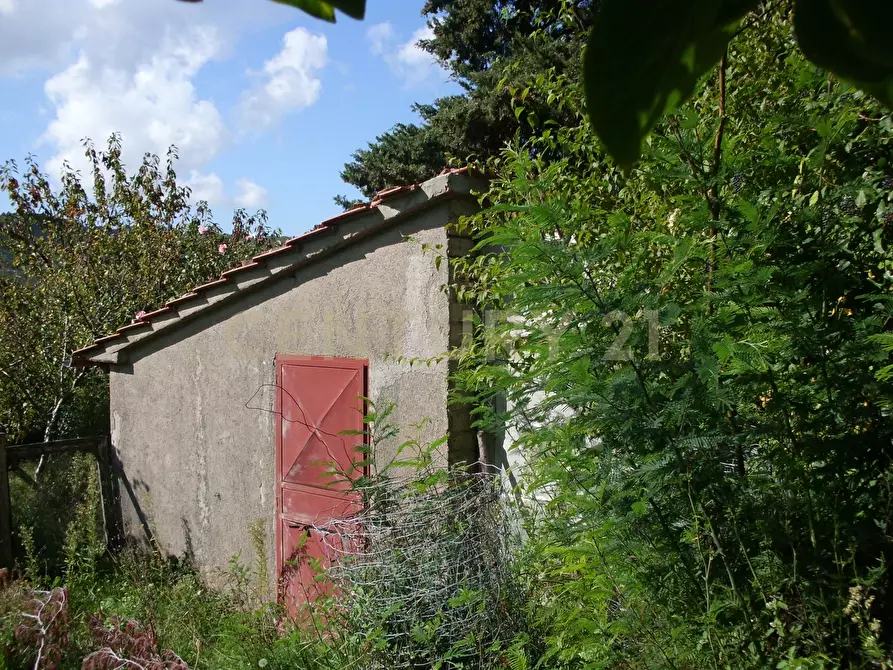 Immagine 19 di Rustico / casale in vendita  in la serra 57 a Arcidosso