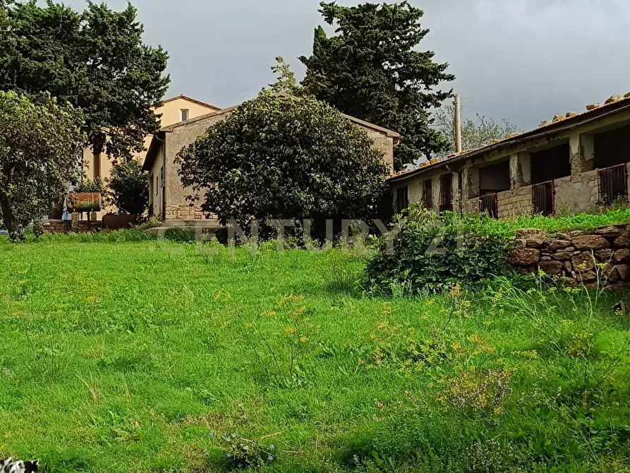 Immagine 19 di Casa indipendente in vendita  in località le croste snc a Manciano