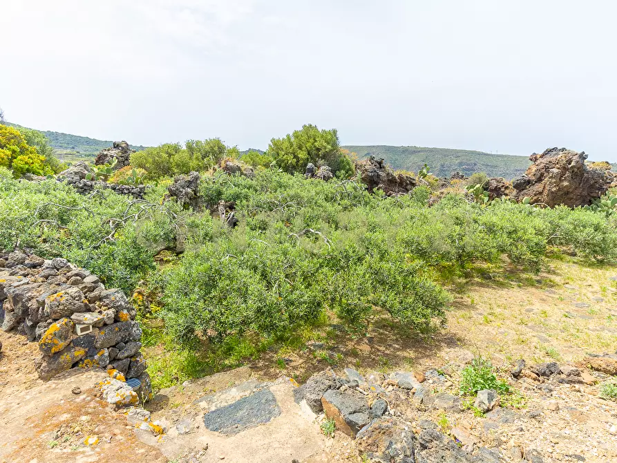 Immagine 44 di Casa indipendente in vendita  in 91017 Pantelleria TP a Pantelleria