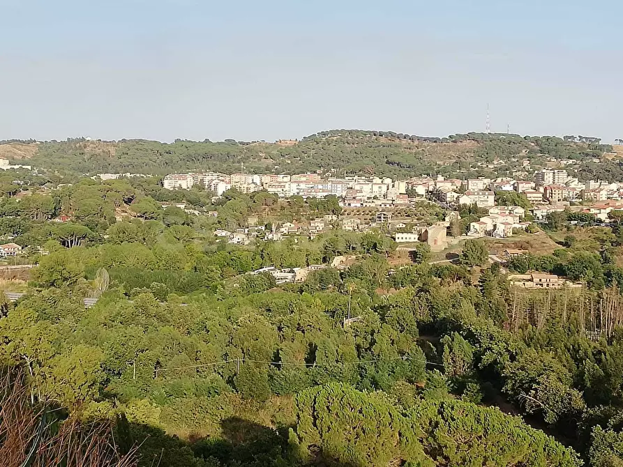 Immagine 8 di Terreno agricolo in vendita  in Contrada Piano Cannata Balatazza a Piazza Armerina