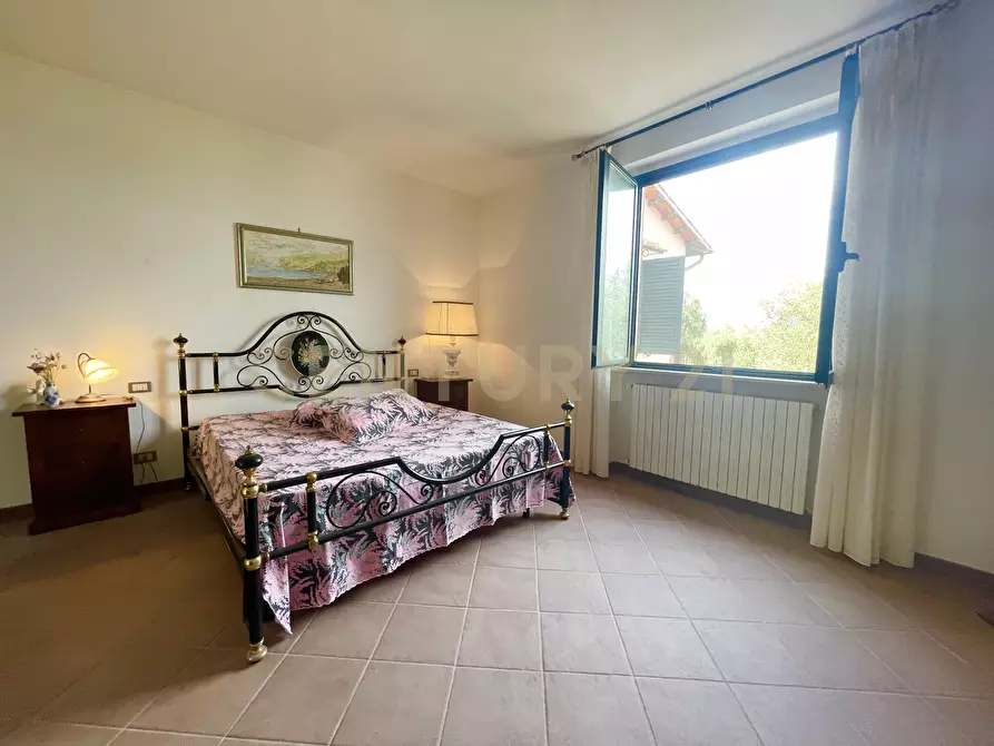 Immagine 33 di Azienda agricola in vendita  in località colle di lupo a Magliano In Toscana