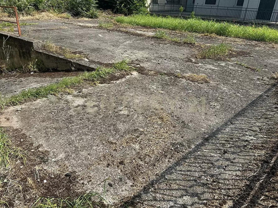Immagine 35 di Casa indipendente in vendita  in Via Giacomo Puccini 5 a Oppeano