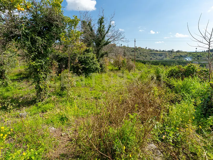 Immagine 21 di Terreno agricolo in vendita  in via giuseppe zinghirino 1 a Giarre