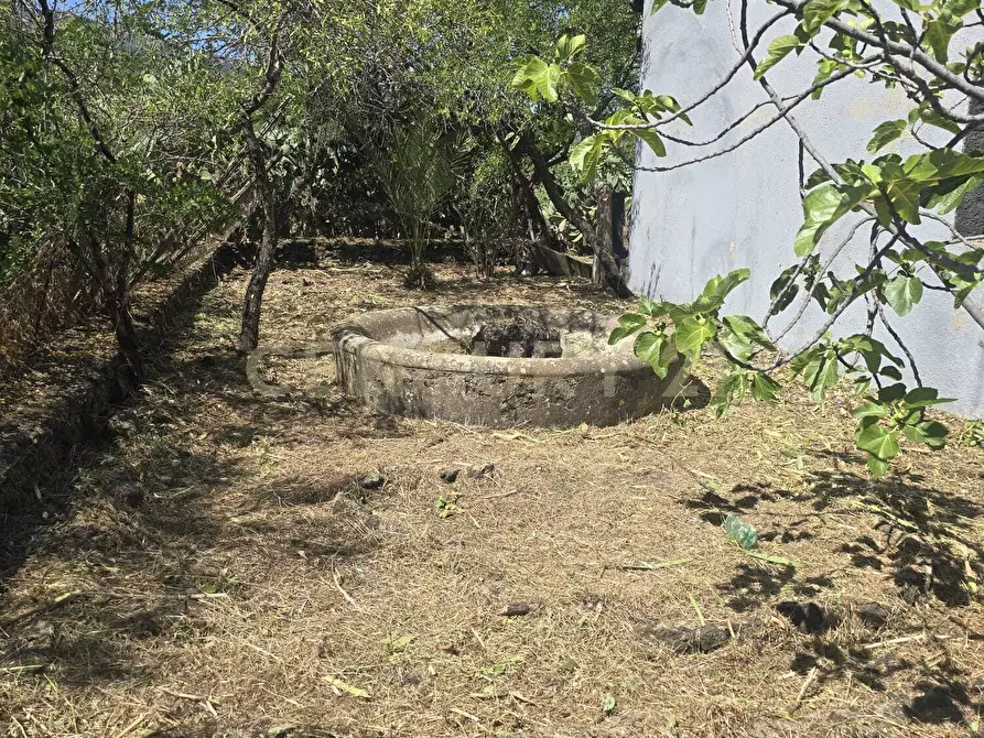 Immagine 34 di Villa in vendita  in Via Panebianco 20 a Castiglione Di Sicilia