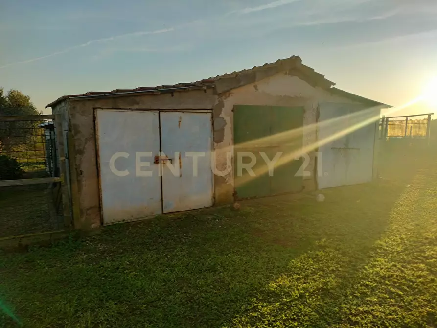 Immagine 18 di Rustico / casale in vendita  in Strada Pedemontana a Capalbio