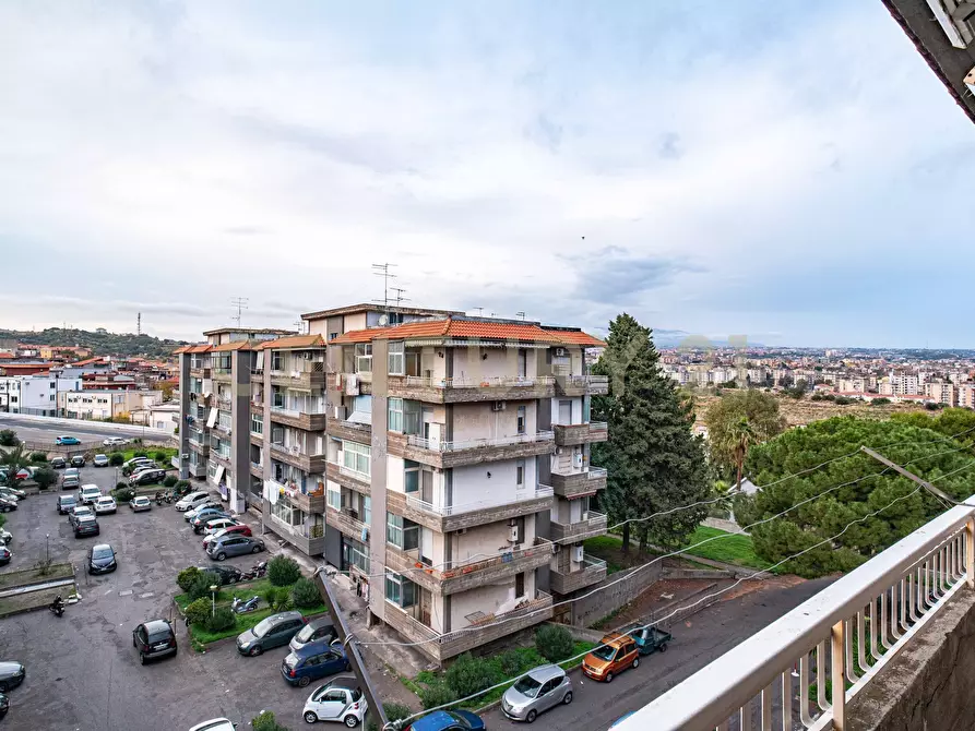 Immagine 10 di Appartamento in vendita  in Via delle Robinie 4 a Catania