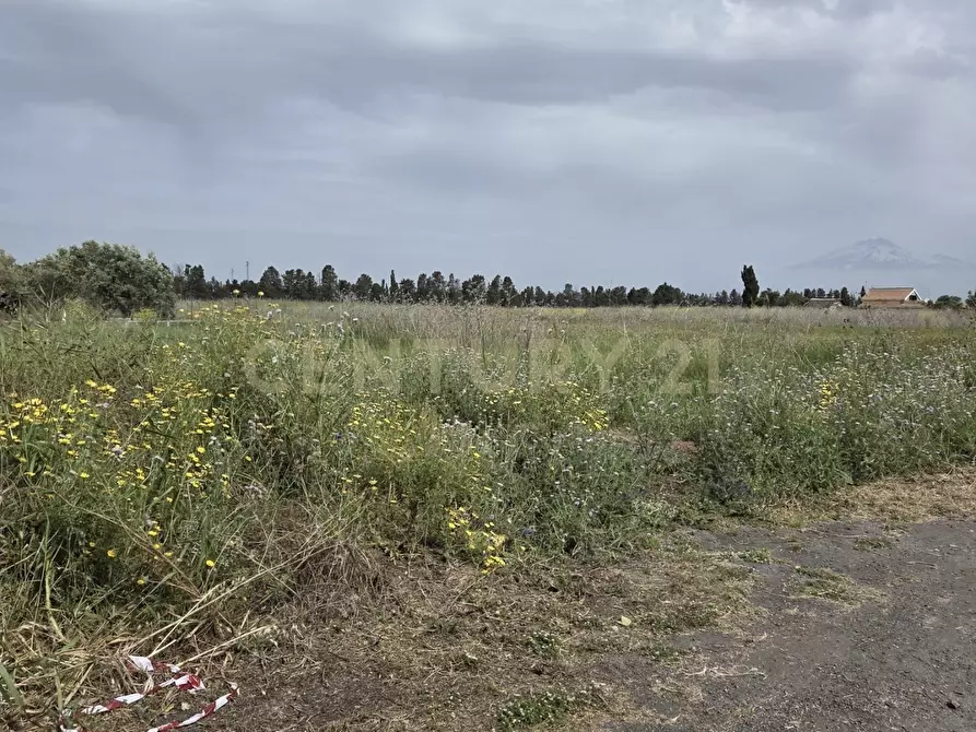 Immagine 3 di Terreno agricolo in vendita  in Via Cavallo Marino a Catania
