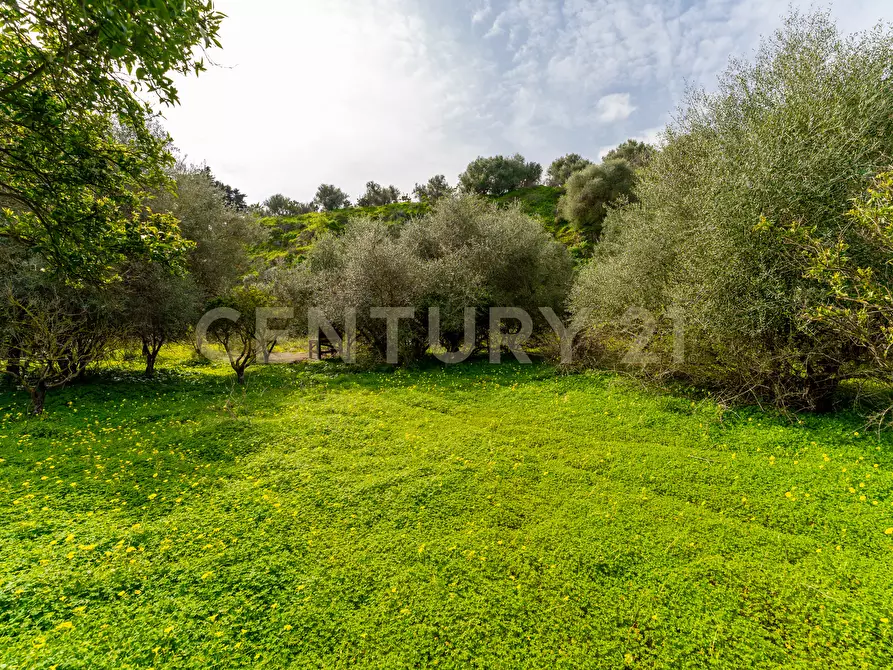 Immagine 33 di Terreno agricolo in vendita  in Contrada Vaccarizzo a Catania