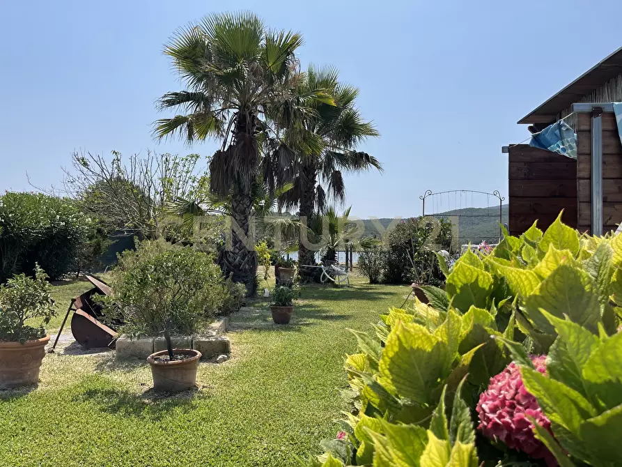 Immagine 5 di Terreno agricolo in vendita  in Strada Provinciale della Giannella a Orbetello