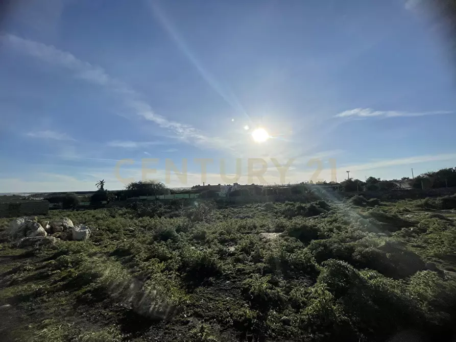 Immagine 12 di Terreno agricolo in vendita  in CONTRADA CORRIDORE CAMPANA SNC a Portopalo Di Capo Passero