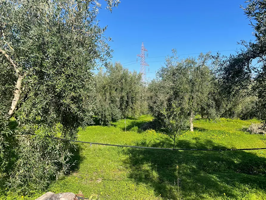 Immagine 12 di Terreno agricolo in vendita  in contrada agnelleria a Belpasso