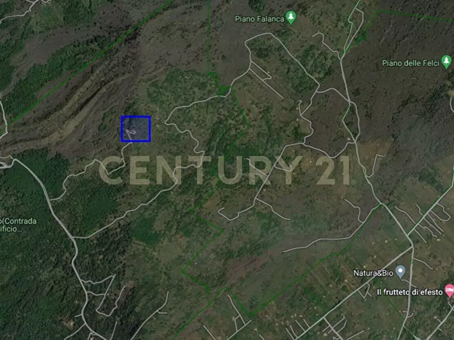 Immagine 16 di Terreno agricolo in vendita  in C.da Filiciusa a Biancavilla