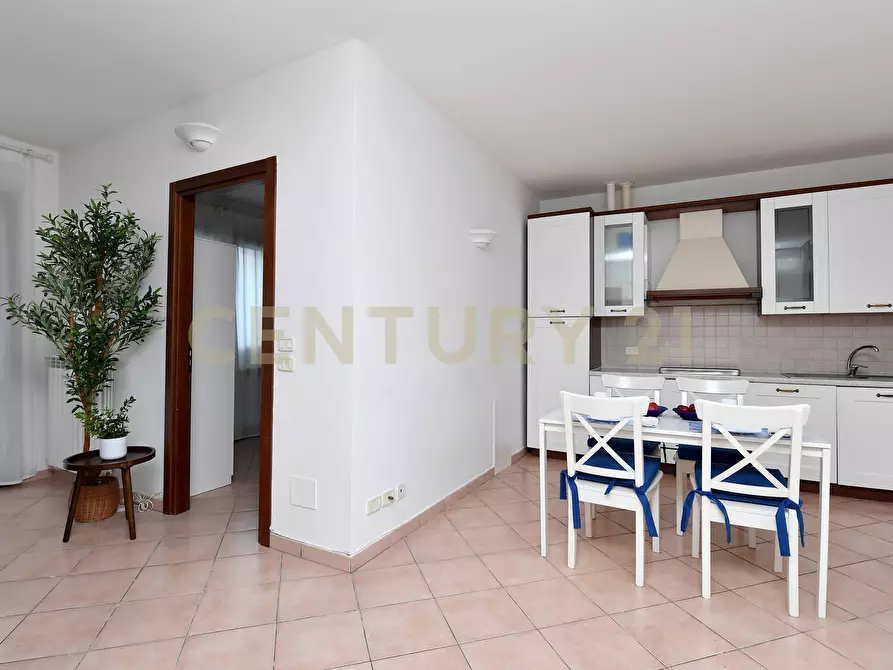 Immagine 10 di Terratetto in vendita  a Grosseto