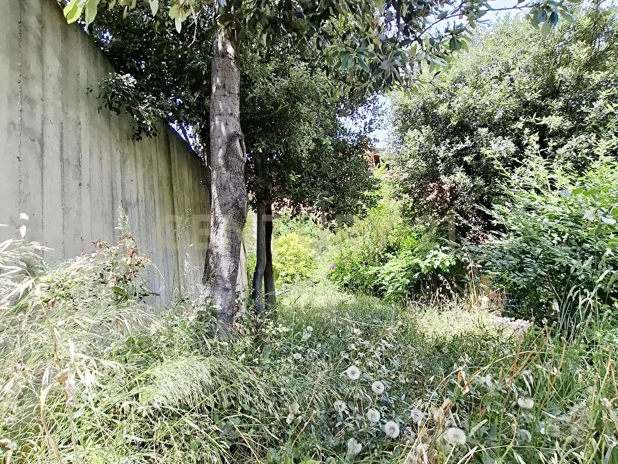 Immagine 11 di Monolocale in vendita  in Strada Vicinale del Grottino a Monte Argentario