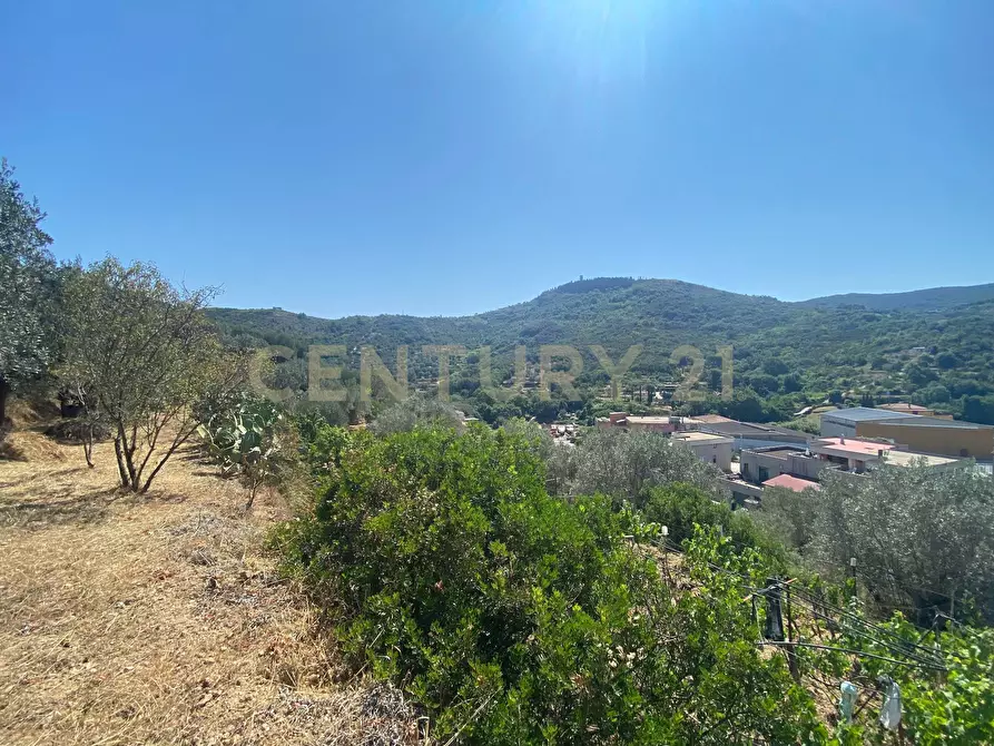 Immagine 2 di Rustico / casale in vendita  in Via del Campone 68A a Monte Argentario