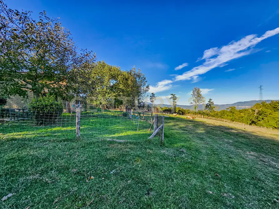 Immagine 3 di Rustico / casale in vendita  in Località Scovaventi 1 a Semproniano