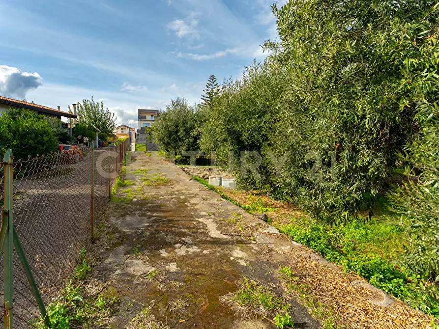 Immagine 15 di Terreno agricolo in vendita  in Via Cerza 35 a San Gregorio Di Catania
