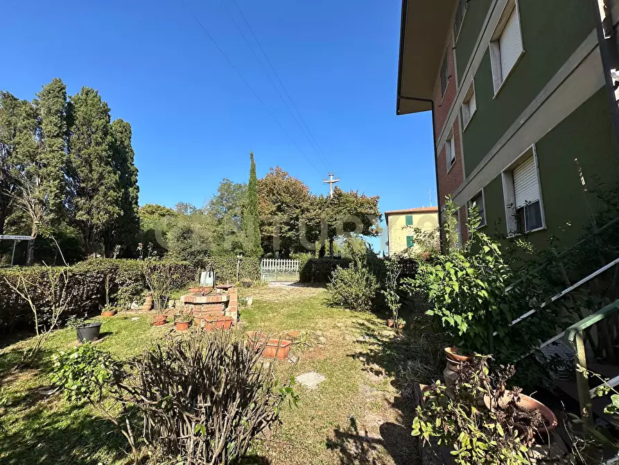 Immagine 3 di Appartamento in vendita  a Scansano