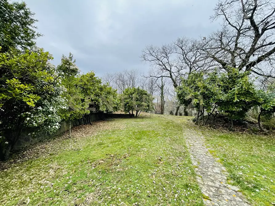 Immagine 5 di Villa in vendita  in Via Dante Alighieri a Semproniano