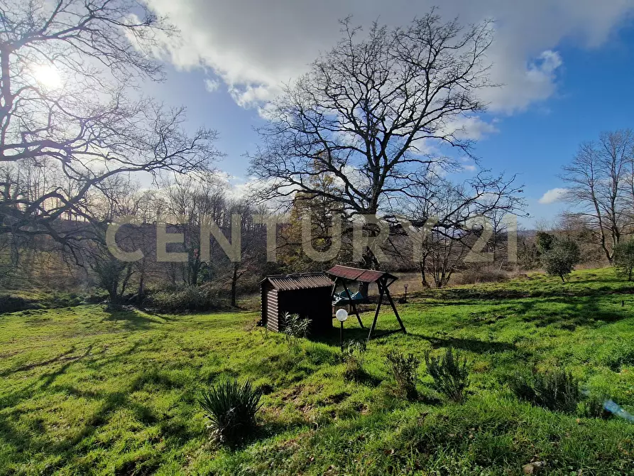 Immagine 26 di Terratetto in vendita  in Località Scovaventi 1 a Semproniano