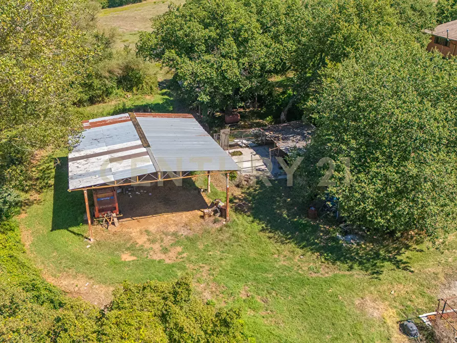 Immagine 36 di Rustico / casale in vendita  in località san quirichello a Barbarano Romano