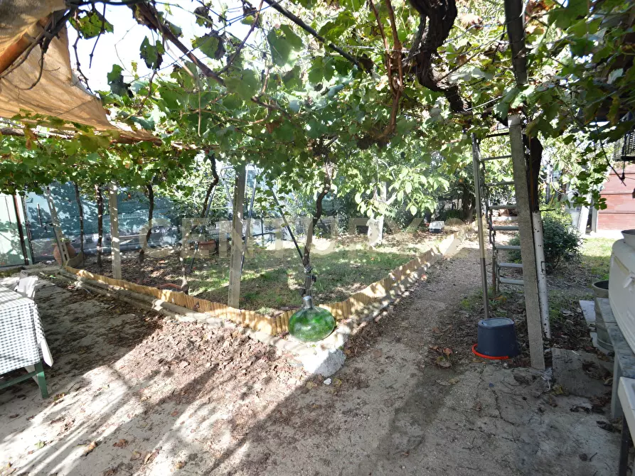 Immagine 6 di Terreno agricolo in vendita  in Via Alberto Sordi 12 a Grosseto