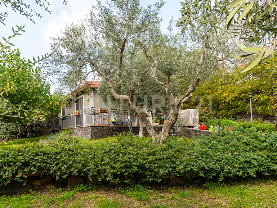 Immagine 68 di Villa in vendita  in Via Brinzio 20 a Aci Catena