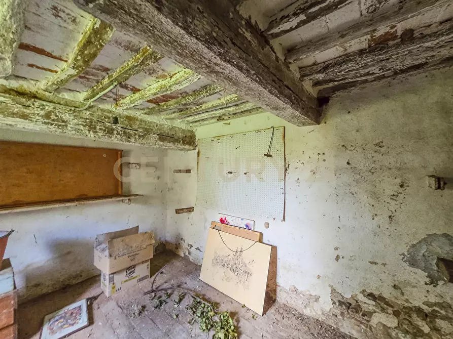 Immagine 31 di Rustico / casale in vendita  in Vial podere nuovo snc a Civitella Paganico